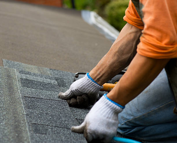 Best Gutter Installation and Roofing  in Franklin Center, NJ